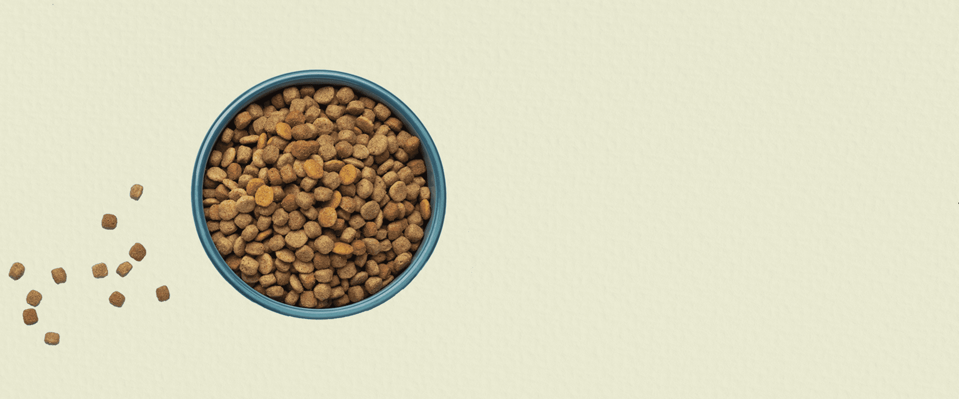  Pets Food In The Store